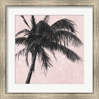 Gray Palm on Pink I Fine Art Print