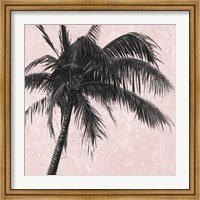 Gray Palm on Pink I Fine Art Print