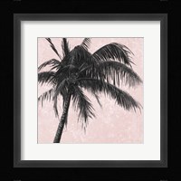 Gray Palm on Pink I Framed Print