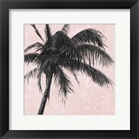 Gray Palm on Pink I Framed Print