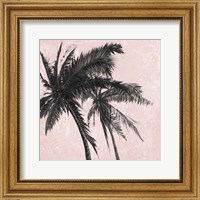 Gray Palm on Pink II Fine Art Print