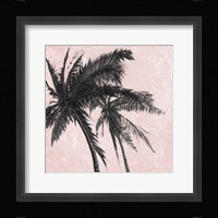 Gray Palm on Pink II Framed Print
