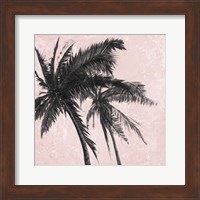 Gray Palm on Pink II Fine Art Print