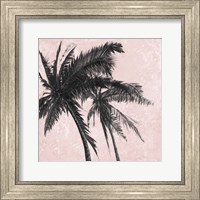 Gray Palm on Pink II Fine Art Print