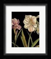 The Garden At Night I Fine Art Print