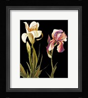 The Garden at Night II Fine Art Print