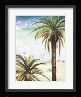 Coastal Palms I Framed Print