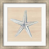 Starfish Fine Art Print