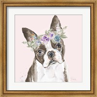 Flower Crown Pet III Fine Art Print