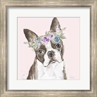 Flower Crown Pet III Fine Art Print