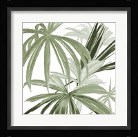 Green Monstera Design II Fine Art Print