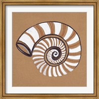 Ocean World Shell Fine Art Print