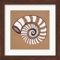 Ocean World Shell Fine Art Print