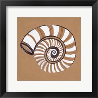 Ocean World Shell Framed Print