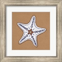 Ocean World Starfish Fine Art Print