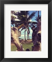 Oceanside Palms Fine Art Print