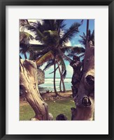Oceanside Palms Fine Art Print