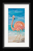 Flamingo II Framed Print