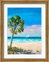Palm Coast Fine Art Print