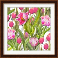 Tulip Symphony I Fine Art Print