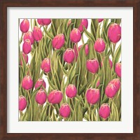 Tulip Symphony II Fine Art Print