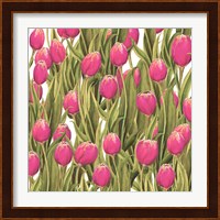 Tulip Symphony II Fine Art Print