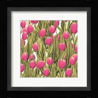 Tulip Symphony II Framed Print
