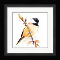Watercolor Chickadee I Framed Print