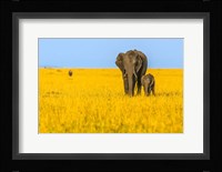Vibrant Africa Fine Art Print