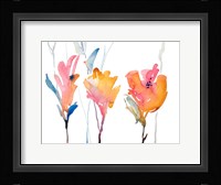 September Blooms II Fine Art Print