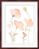 Early Summer Poppies I Fine Art Print
