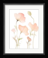 Early Summer Poppies I Fine Art Print
