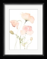 Early Summer Poppies II Fine Art Print