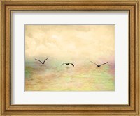 Seagulls In The Sky I Fine Art Print