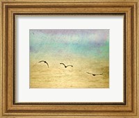 Seagulls In The Sky II Fine Art Print