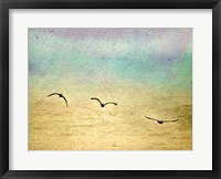 Seagulls In The Sky II Fine Art Print