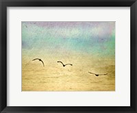 Seagulls In The Sky II Fine Art Print