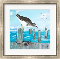 Sandpiper Pier Fine Art Print