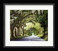 Down The Rabbit Hole Fine Art Print