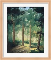 Walk In The Woods Fine Art Print