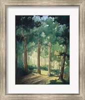 Walk In The Woods Fine Art Print