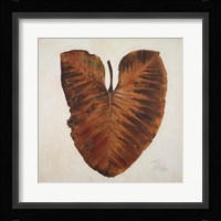 Amazonas I Fine Art Print