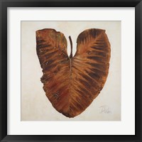 Amazonas I Framed Print