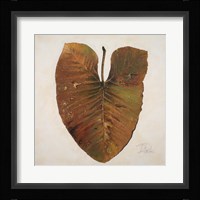 Amazonas II Fine Art Print