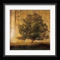 Aged Tree I Fine Art Print