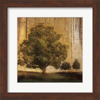 Aged Tree II Fine Art Print