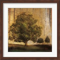 Aged Tree II Fine Art Print