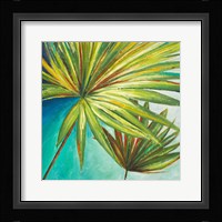 New Palmera II Fine Art Print