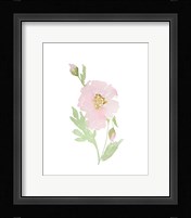 Garden Of Joy II Fine Art Print