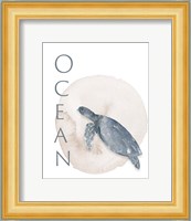 Ocean Turtle Fine Art Print